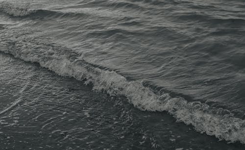 Grayscale Photo of Crashing Sea Waves