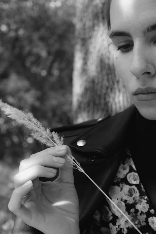 Ilmainen kuvapankkikuva tunnisteilla asu, botaniikka, bw Kuvapankkikuva