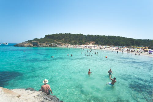 Immagine gratuita di acqua turchese, alberi, costa