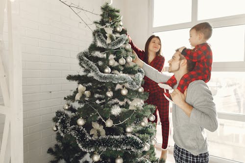 Ingyenes stockfotó beltéri, család, díszít témában