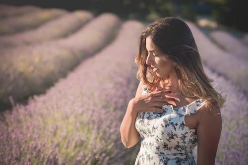 Fotos de stock gratuitas de bonita, bonito, campos de lavanda