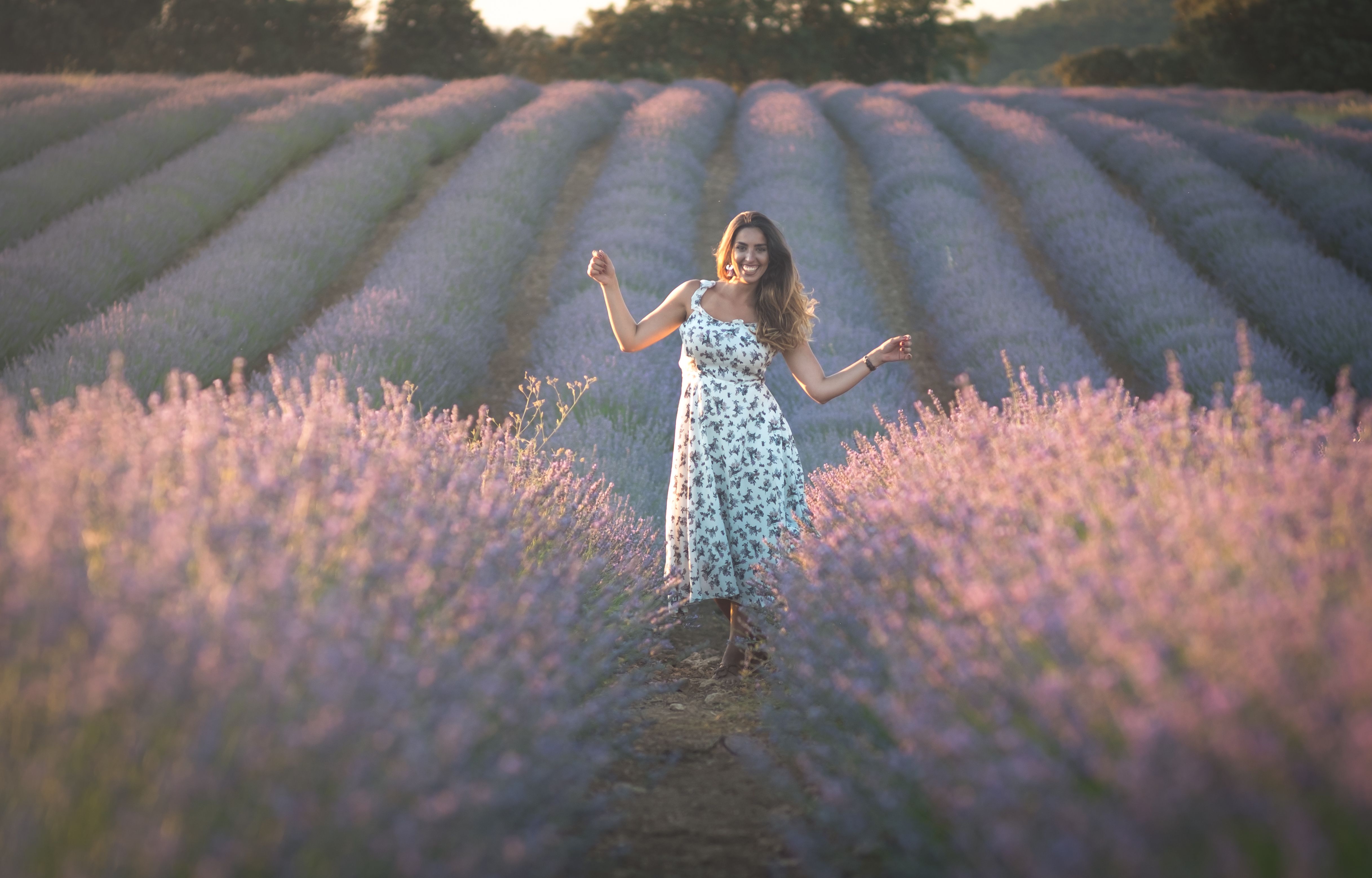 Beautiful Woman Wearing Floral Dress in the Lavender Flower Field ...