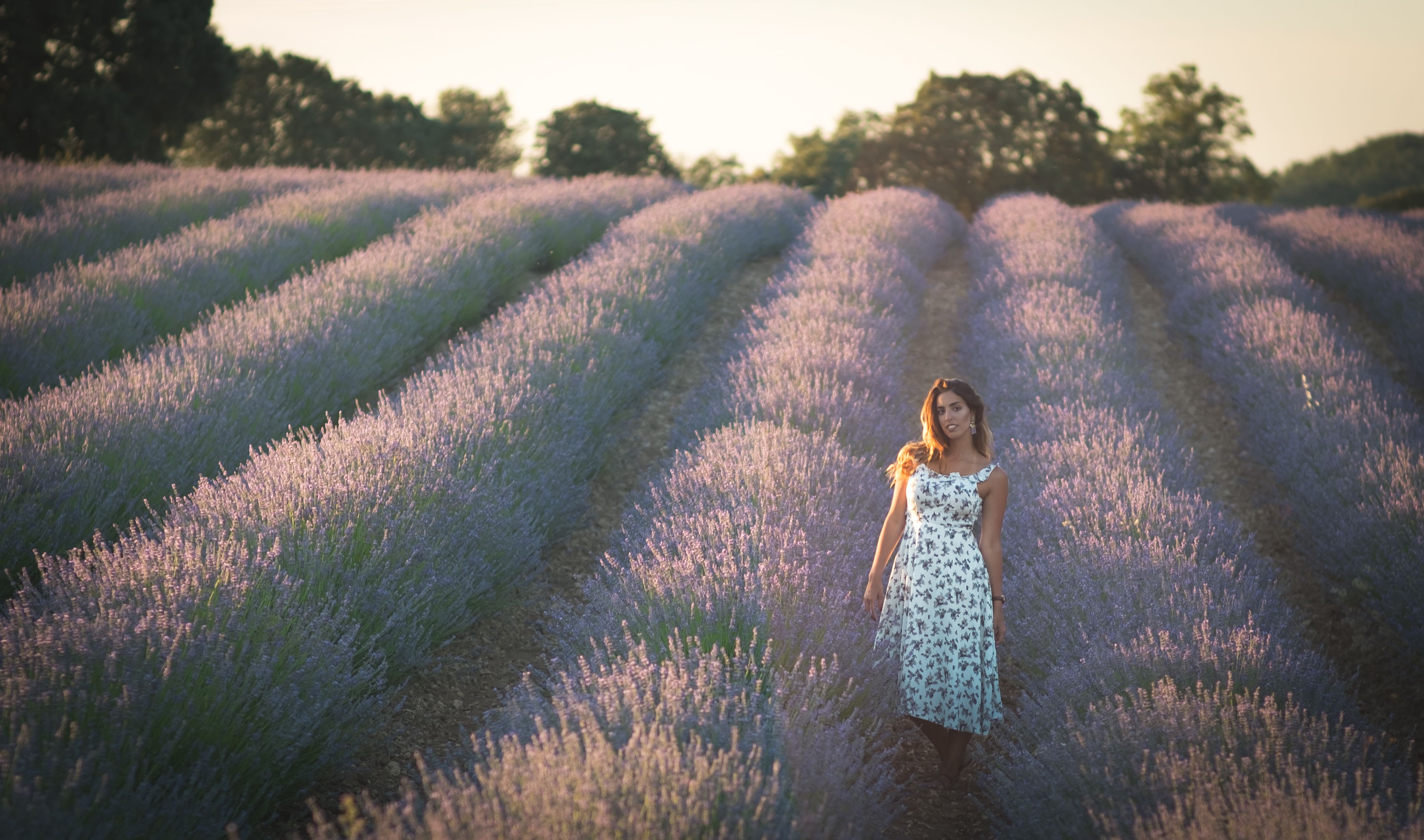A Woman in White Floral Dress Standing on a Lavender Field · Free Stock ...