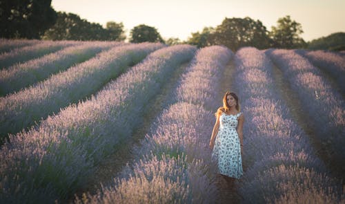 A Woman in White Floral Dress Standing on a Lavender Field