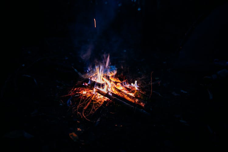 Burning Bonfire With Orange Flame In Darkness