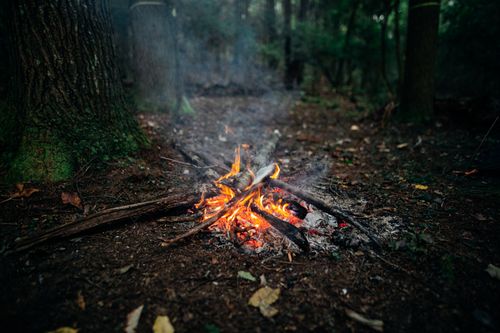 Free From above of camping bonfire with dry tree sticks and orange flame on ground in green forest Stock Photo