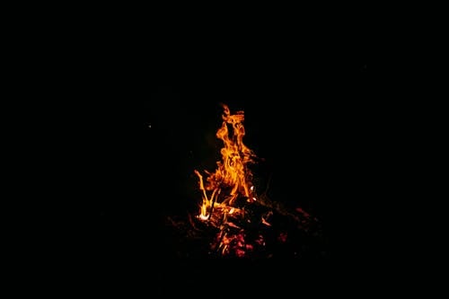 Powerful orange flames of burning bonfire on ground in dark forest at night