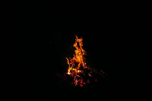 Free Powerful orange flames of burning bonfire on ground in dark forest at night Stock Photo