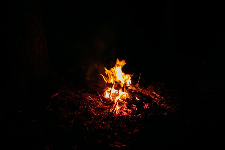 Campsite With Flaming Fire In Forest At Night