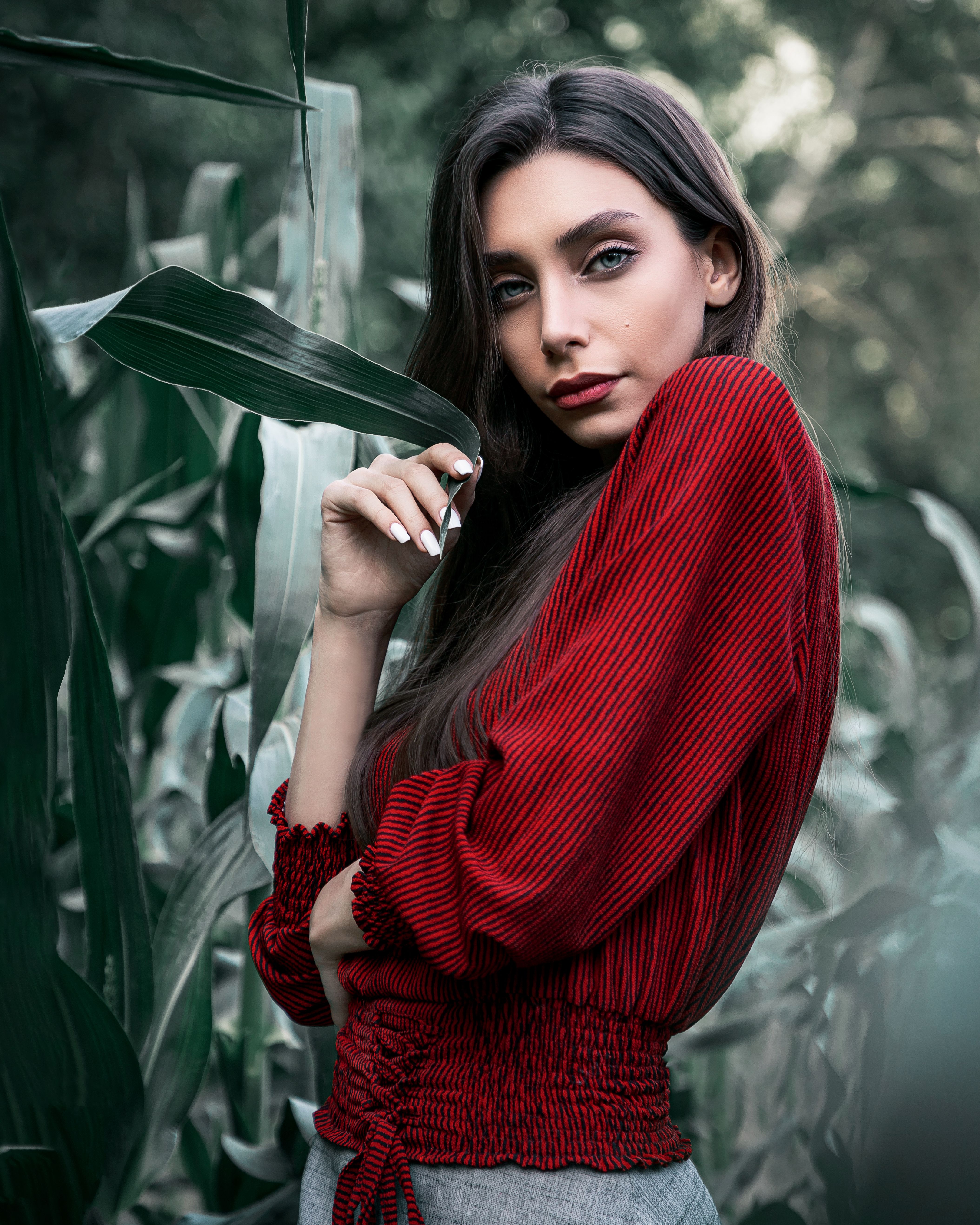 Woman in Red Dress Posing in the Sugarcane Field · Free Stock Photo