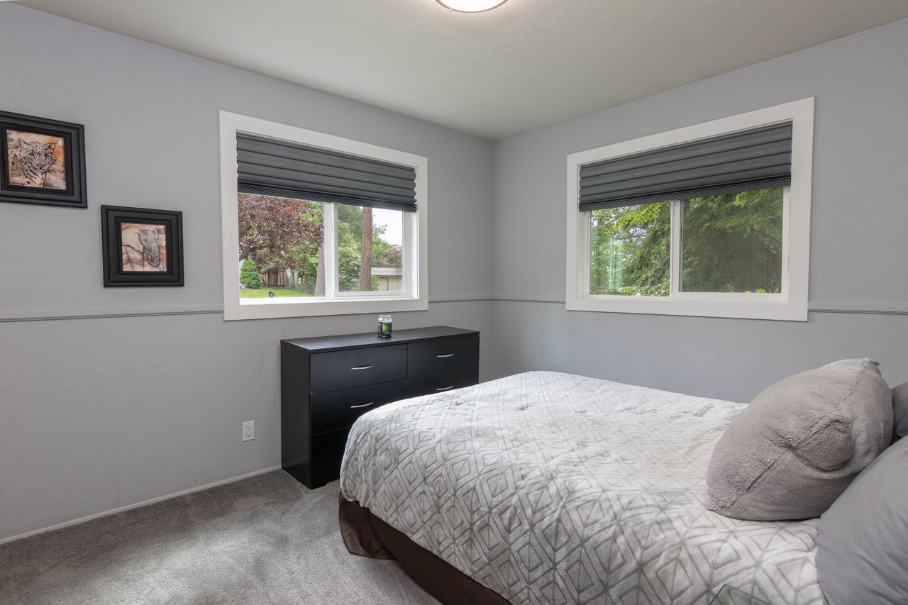 Two windows with dark grey roller shades half lowered in a calm, modern grey room