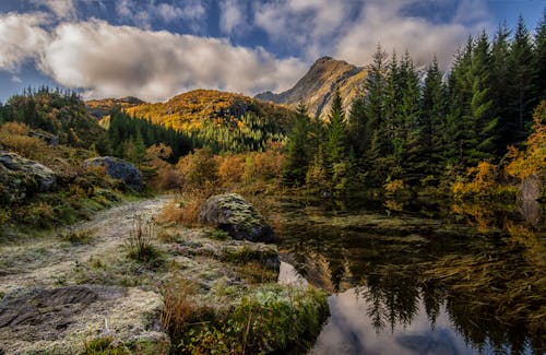Free Small pond in autumn forest in highlands Stock Photo