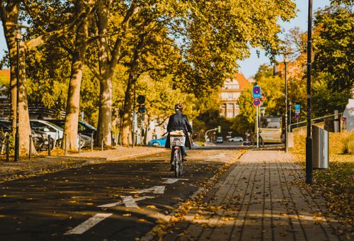 Free A cyclist enjoys a ride on a city street framed by lush fall foliage. Stock Photo