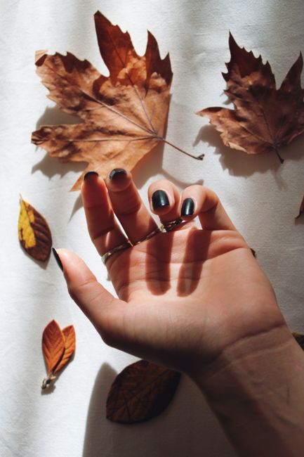Close-up of a hand with painted nails among fallen autumn leaves, capturing fall aesthetics.