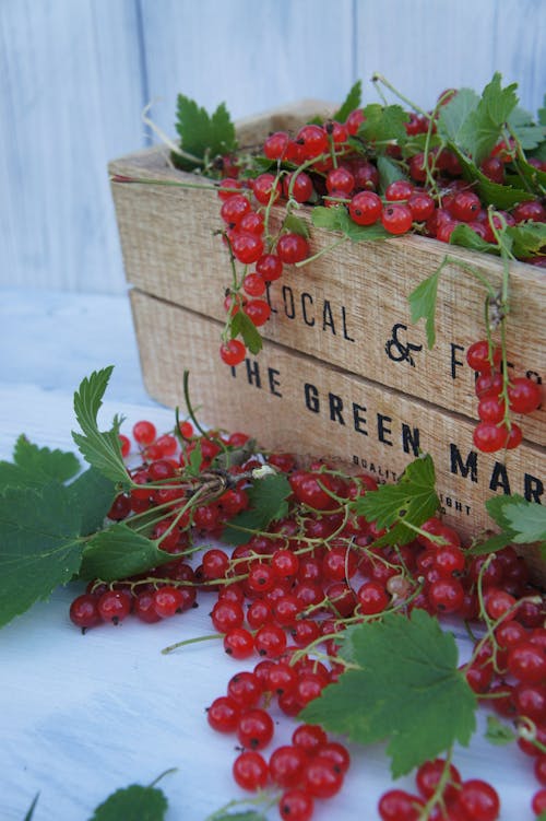 Free stock photo of berries, berry, food