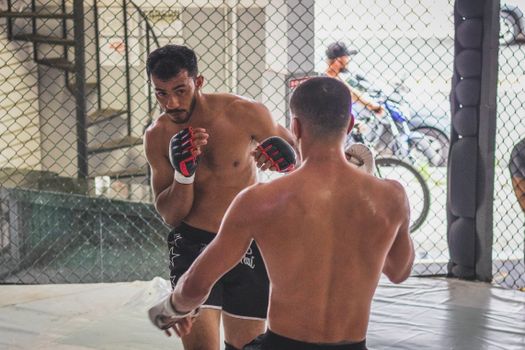 Fighters Training in an Octagon