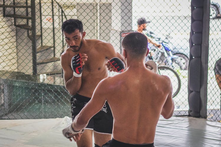 Fighters Training In An Octagon