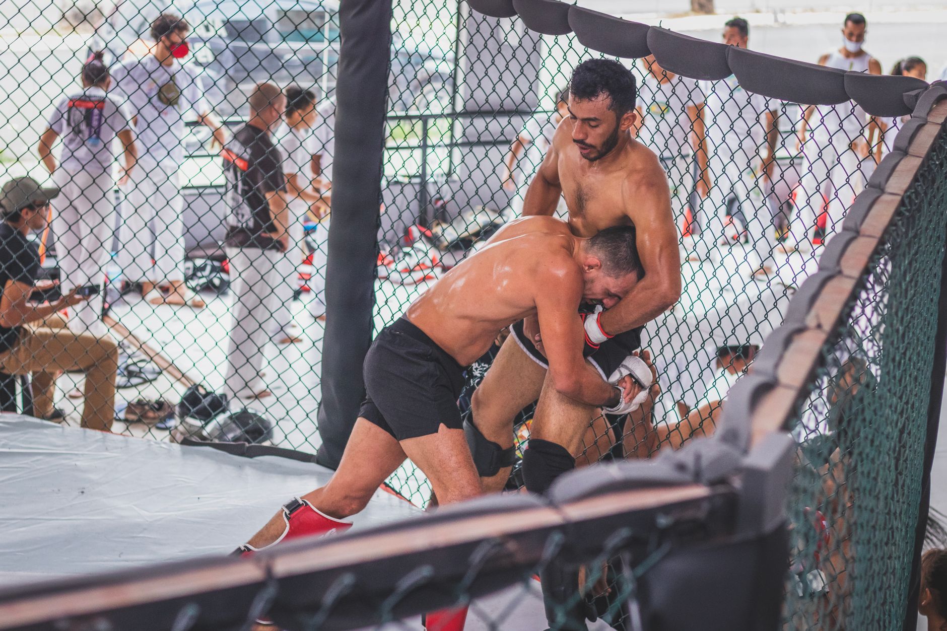 Conor McGregor: El Regreso del Ícono de la UFC