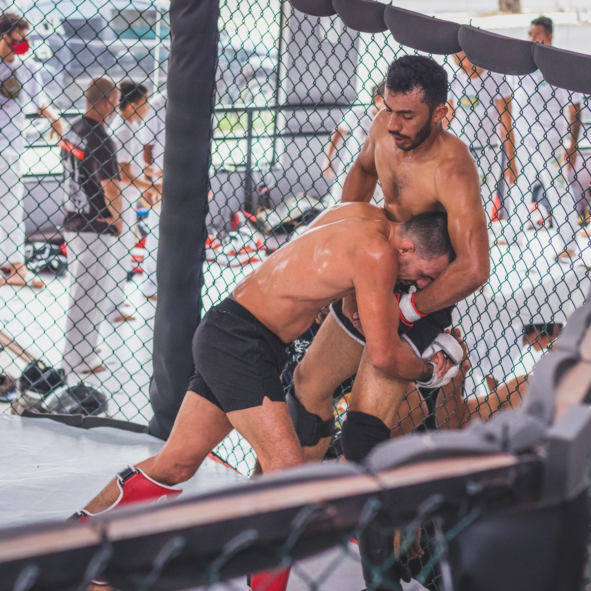 SF Grappling MMA Gloves