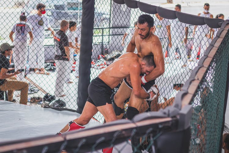 Men Fighting In Cage In Gym