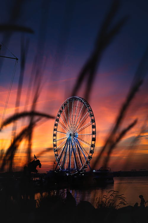 Ferris wheel near sea under bright sky at sundown