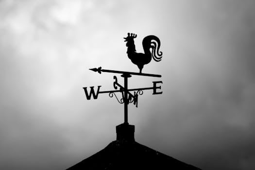 Black and white silhouette of a rooster weather vane against a cloudy sky.