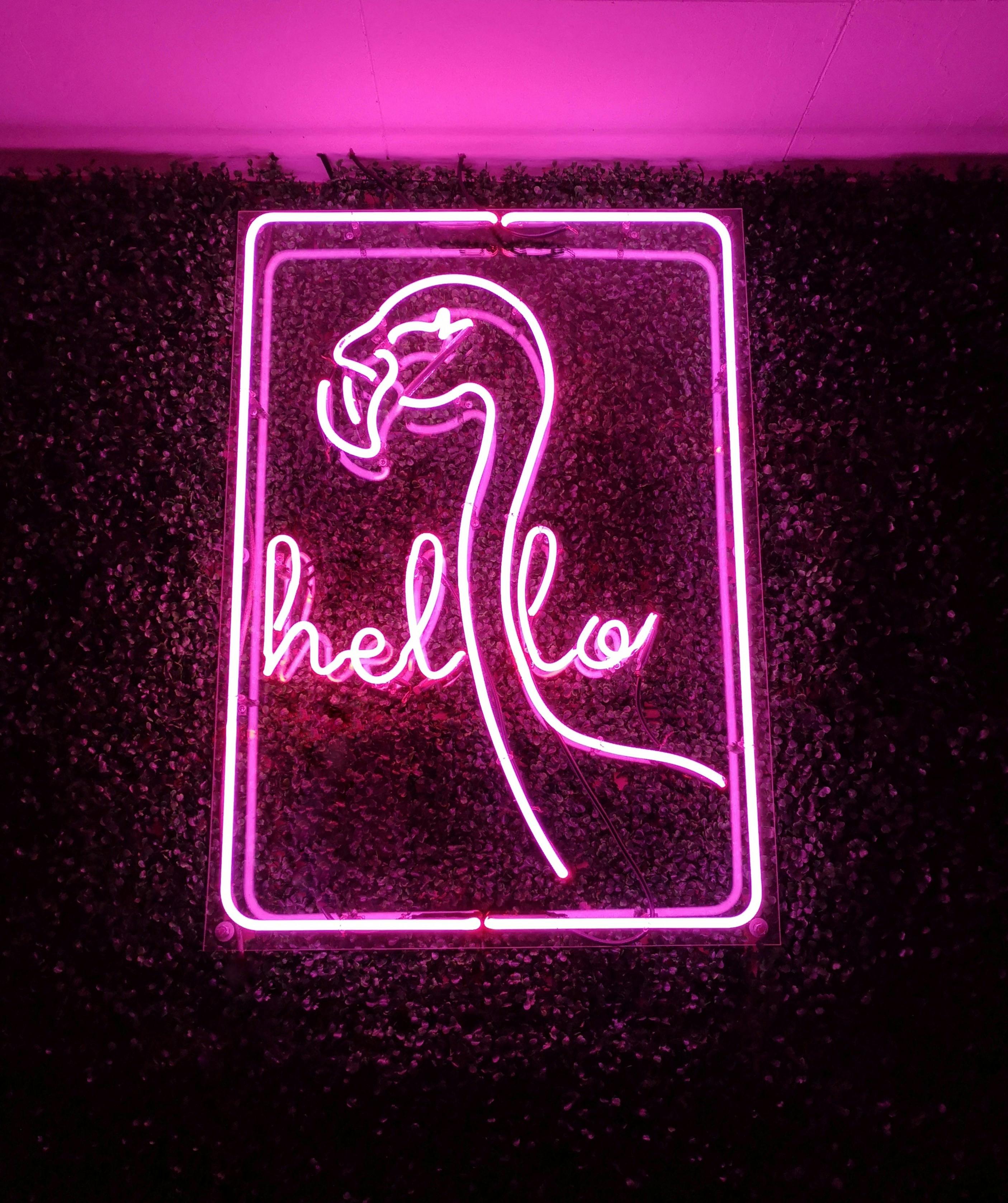 Neon Sign in a Black Background · Free Stock Photo