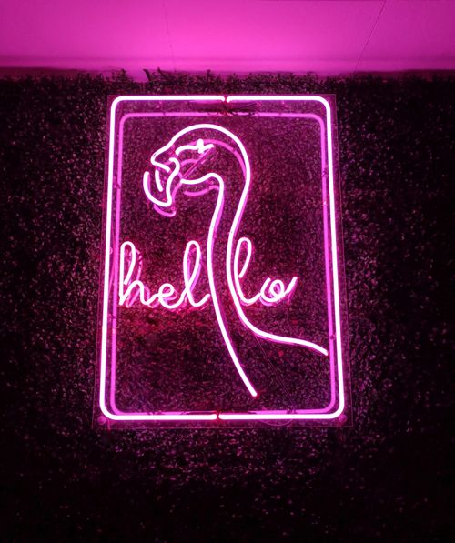 Free Stylish neon sign featuring a flamingo and 'hello' text, perfect for modern decor. Stock Photo