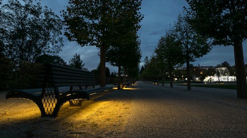 Darmowe zdjęcie z galerii z drzewa w nocy, ławka, piękna ulica