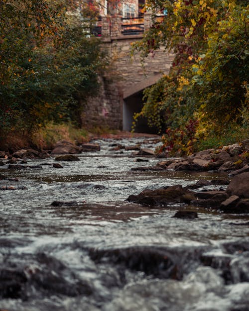 Selective Fous Photo of Rocky River