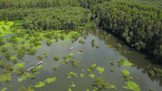 Green Grass and Trees on River