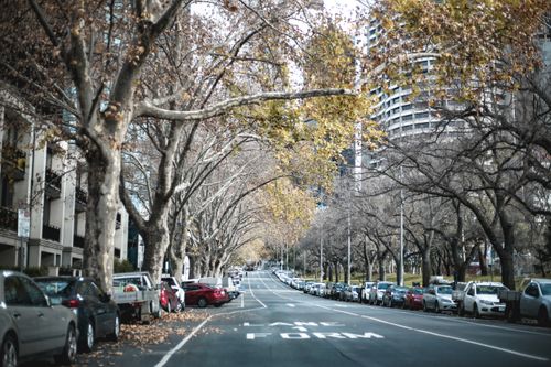 Free City street lined with parked cars and autumn trees, showcasing urban life in fall. Stock Photo