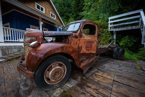 Wrecked Truck Near Green Trees