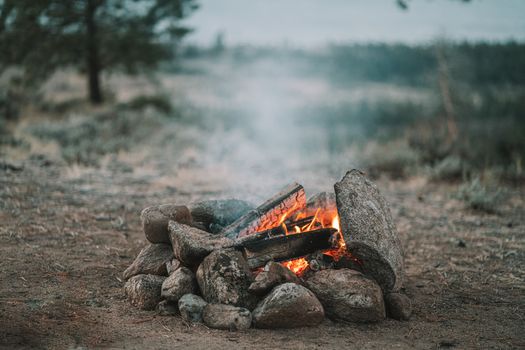 A cozy campfire with stones and logs set against a peaceful forest backdrop, ideal for outdoor enthusiasts.