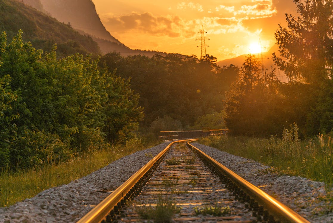 Free Train Railway Near Trees Stock Photo