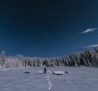 冬夜宁静，树木披着皑皑白雪，天空星罗棋布