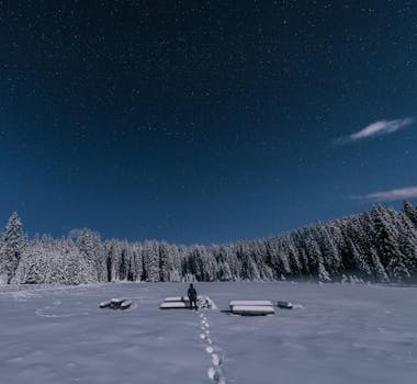 冬夜宁静，树木披着皑皑白雪，天空星罗棋布