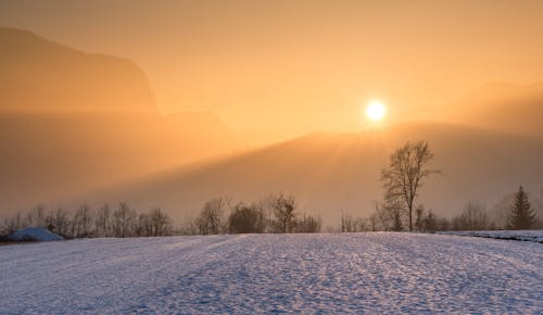 Free Snowfield and Golden Hour Stock Photo