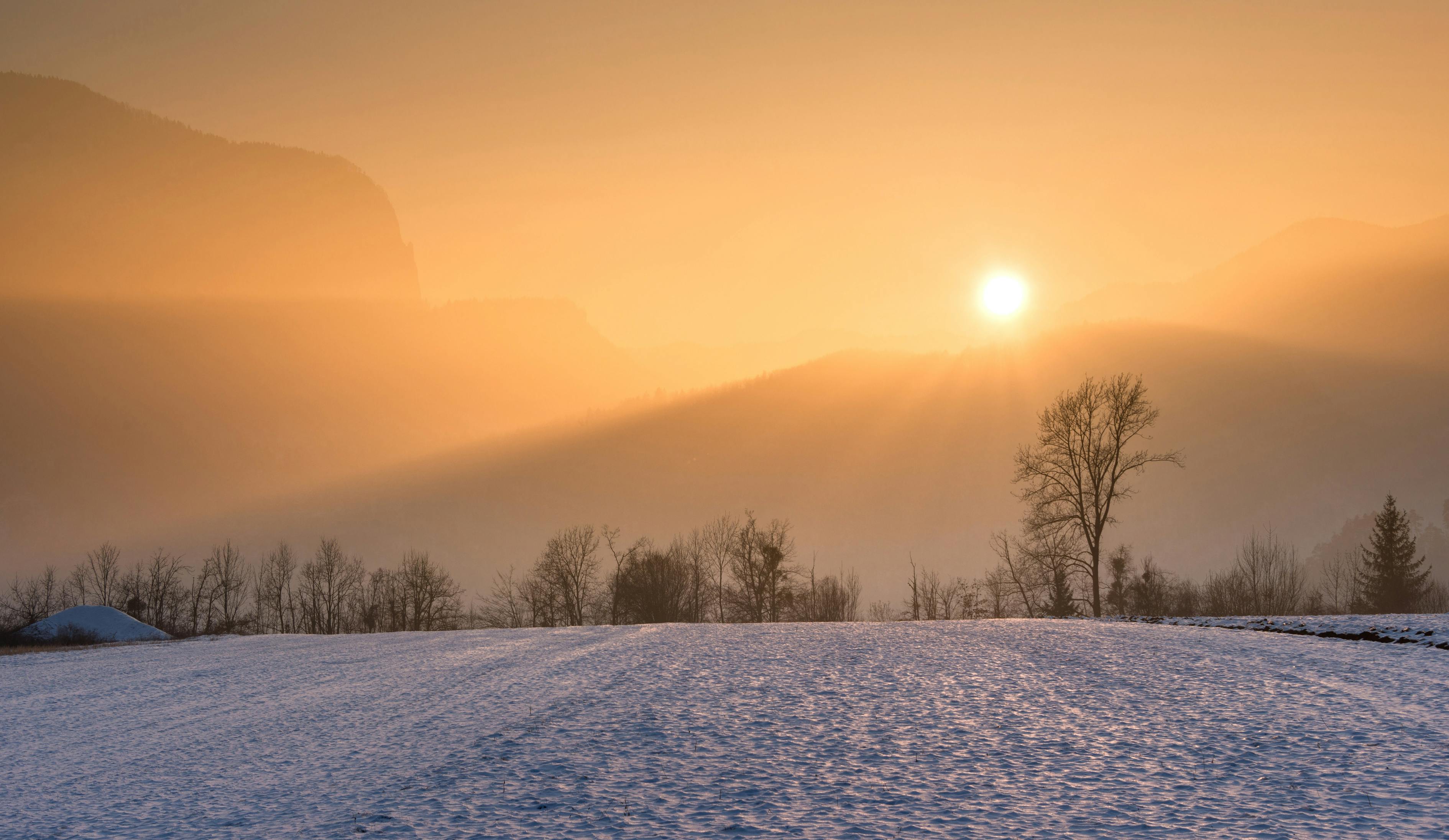 Snowfield and Golden Hour · Free Stock Photo