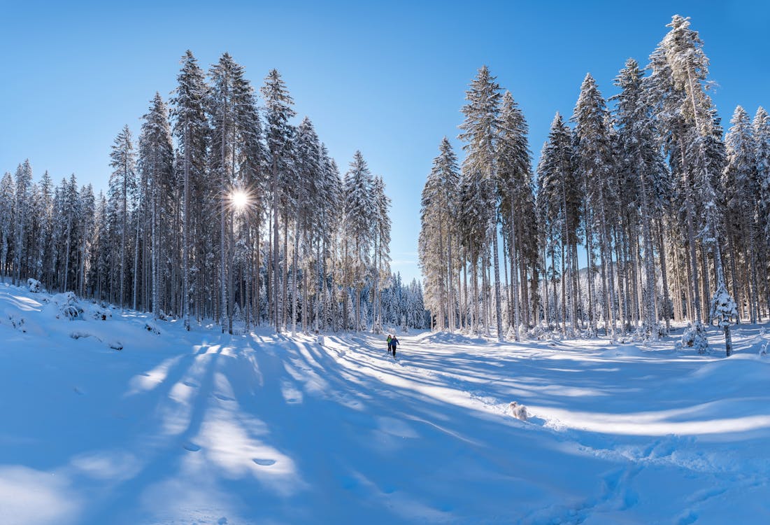 Gratis lagerfoto af bjerg, folk, forkølelse