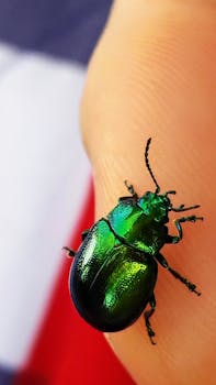 Moon Festival and Mooncakes