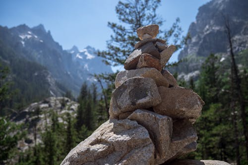 Základová fotografie zdarma na téma hory, kameny, les