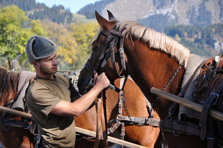 Man Touching The Harness On A Horse