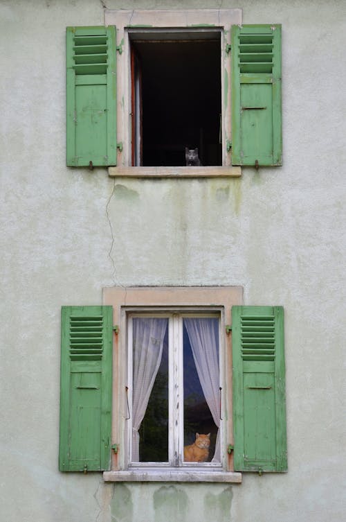 Free Green Wooden Window on White Concrete Wall Stock Photo