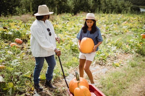 Free Full body of female farmer holding cart near young girl with pumpkin in rural field Stock Photo