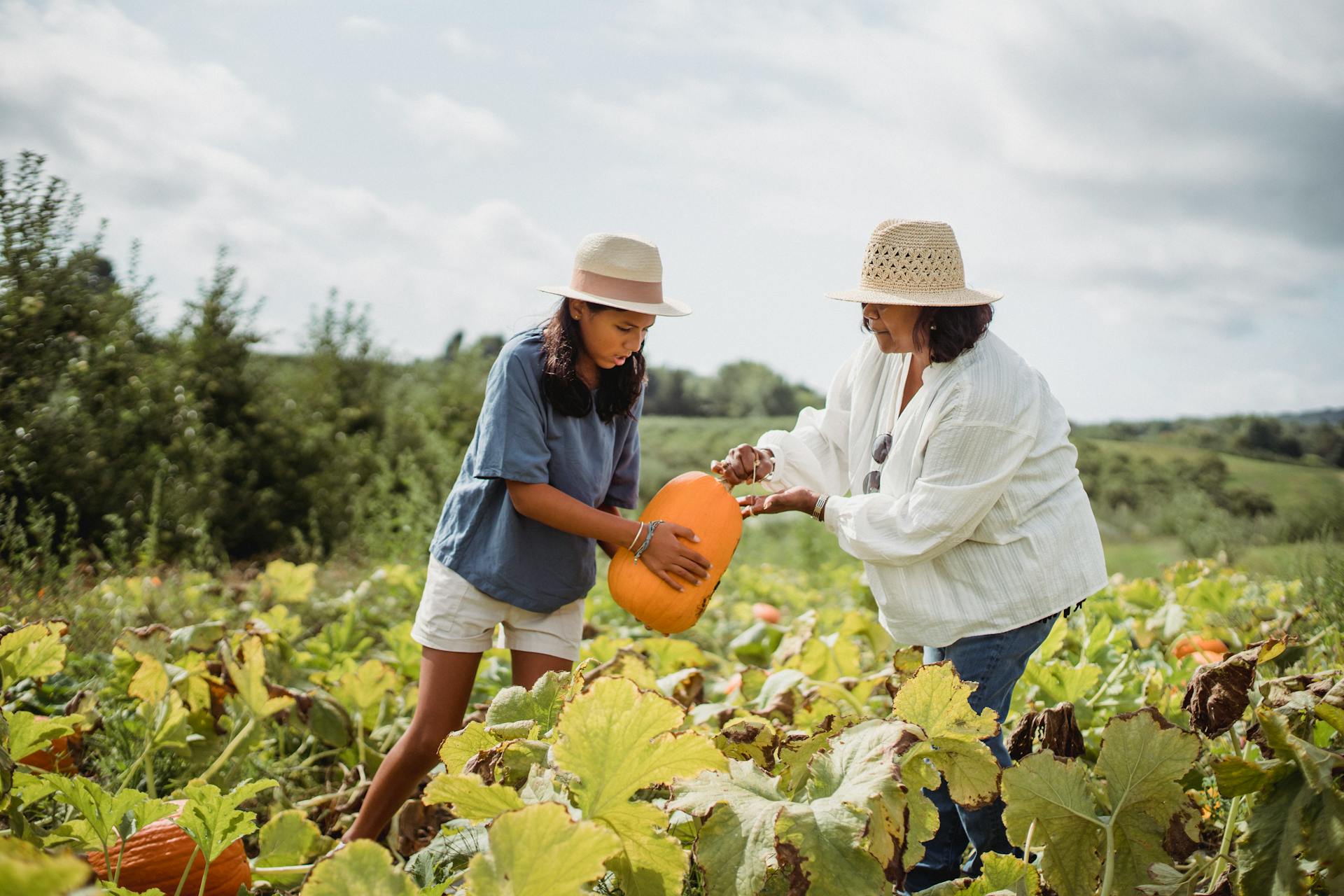 Tout le corps d'une femme agriculteur en vêtements décontractés et d'une jeune latino-américaine travaillant dans un champ de citrouilles