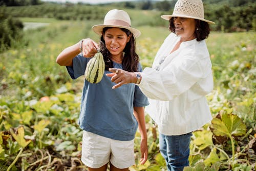 Free Smiling Latin American young girl holding unripe pumpkin while standing with mother in agricultural field Stock Photo