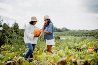 Full body of Latin American female in casual clothes with daughter holding fresh pumpkin while working in farm