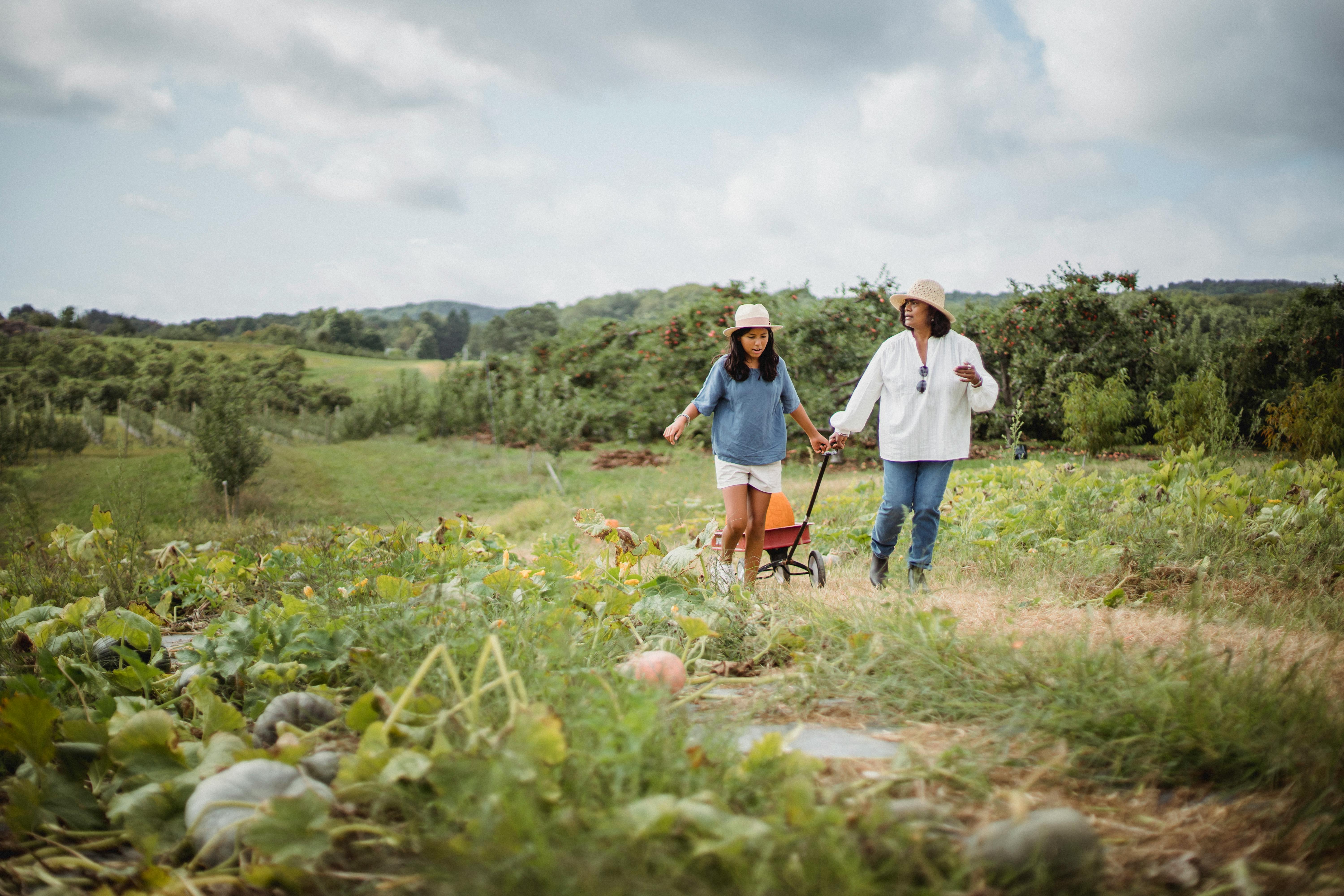 hispanic woman with daughter harvesting pumpkins