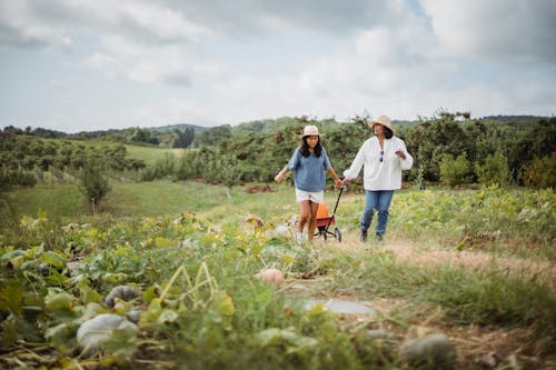 Free Full body of female farmer and young Latin American girl pulling cart with pumpkin in countryside Stock Photo